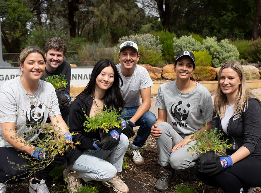 WWF staff with flannel flowers for planting at the Australian Botanic Garden
