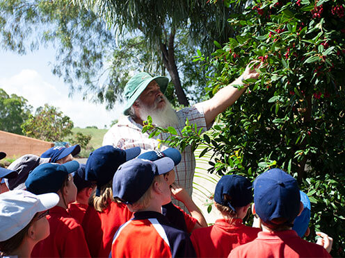 Children observing tree on school excursion at the Australian Botanic Garden Mount Annan