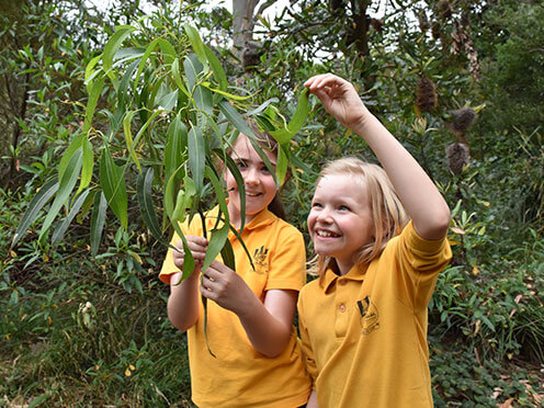 Children hold tree branch during an excursion at the Garden