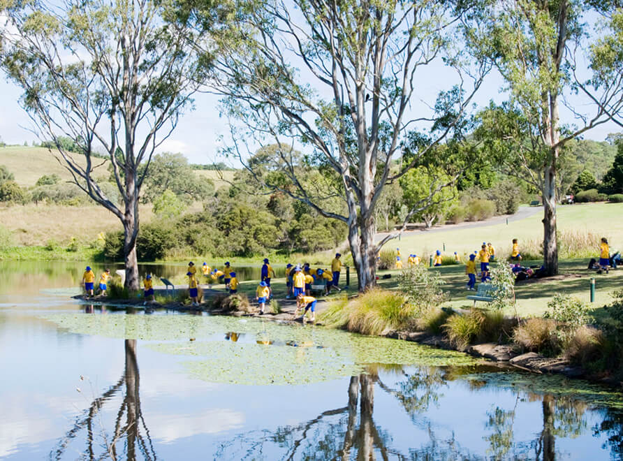 School students on an excursion at the lake at Mount Annan