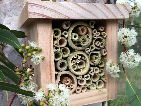 Bee hotel