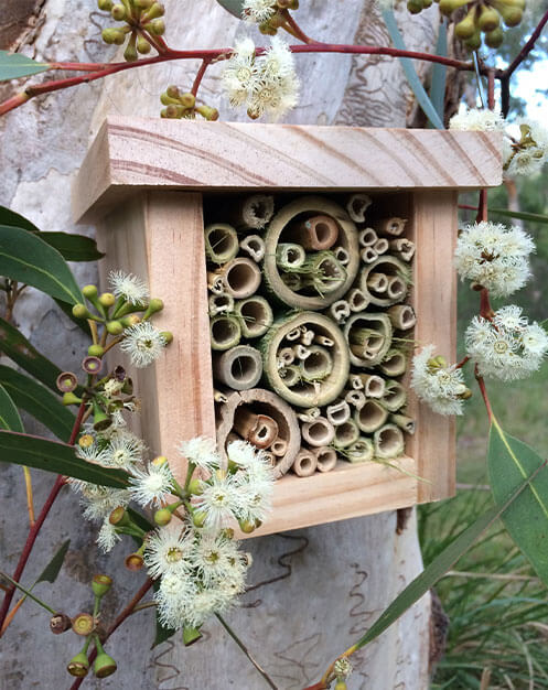 Bee hotel