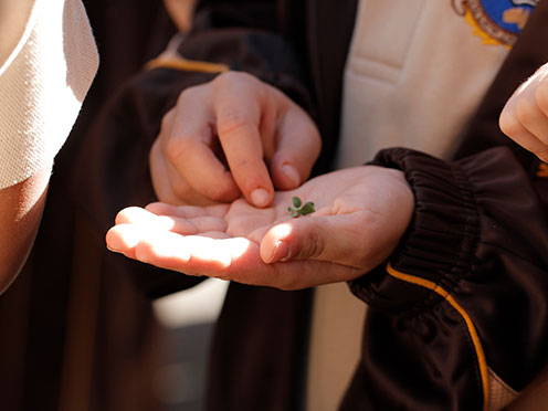 Child holding see whilst on school excursion