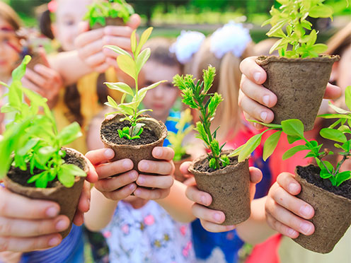 Close up of children holding seedling pots