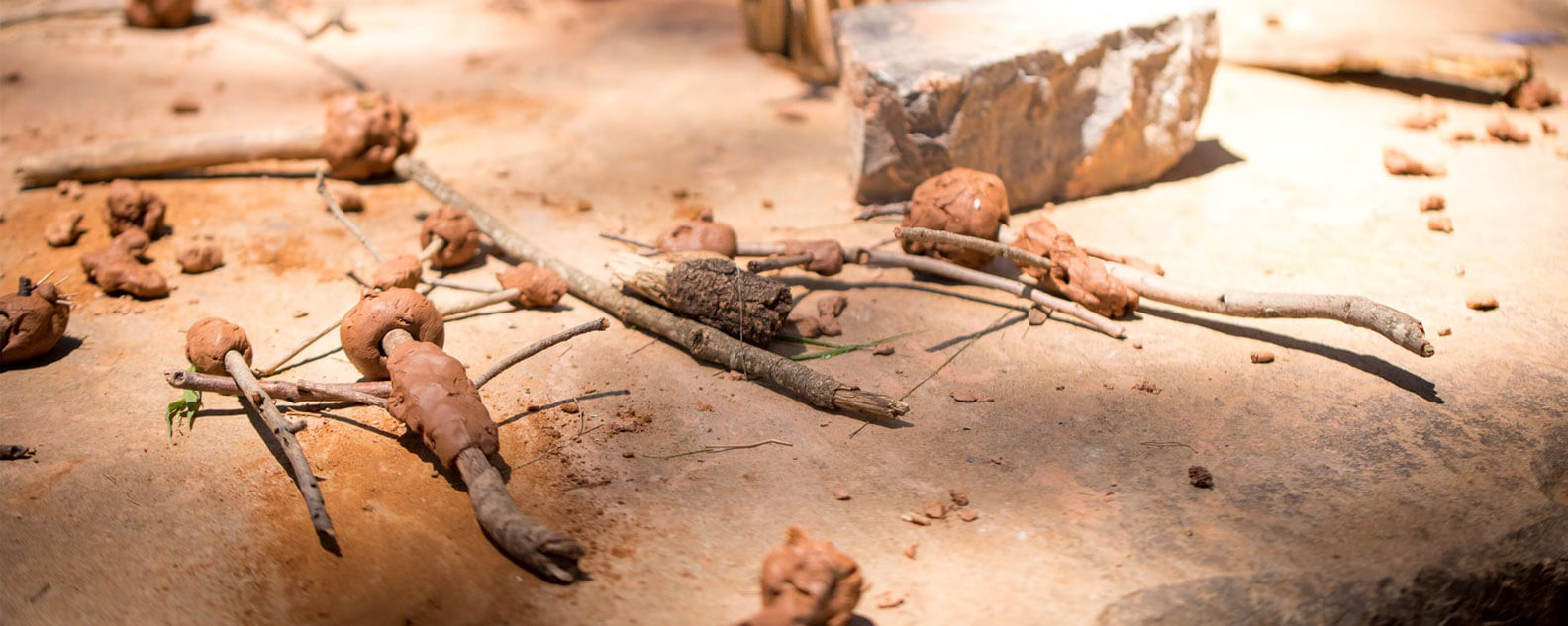 A collections of sticks in different shapes and sizes lying on a piece of sandstone.