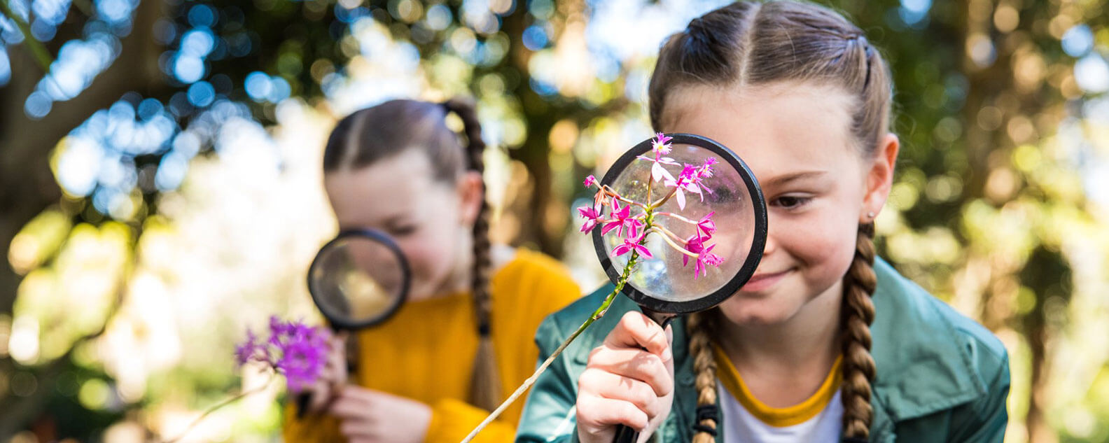 An outdoor scene, two excited students with magnifying glasses looking at orchids.