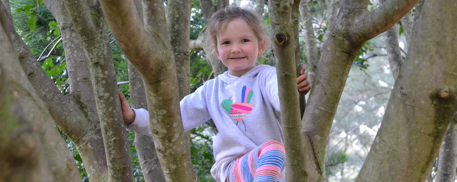 A child climbing in the canopy of a tree.