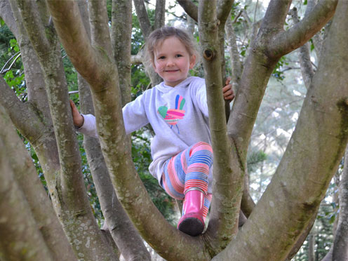 A child climbing in the canopy of a tree.