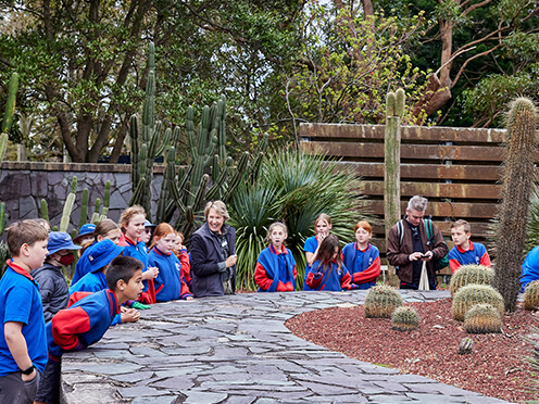 School students visit the succulent garden