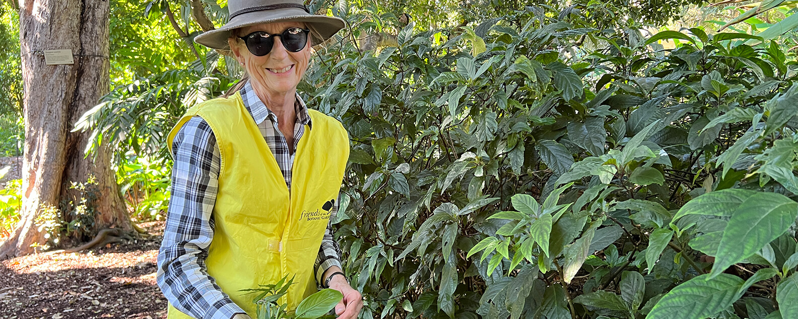 Volunteer with yellow vest in the garden