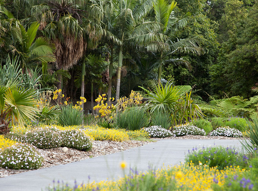 Path leading through the Connections Garden