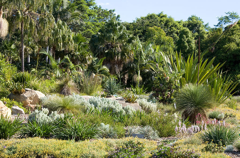 Connections Garden