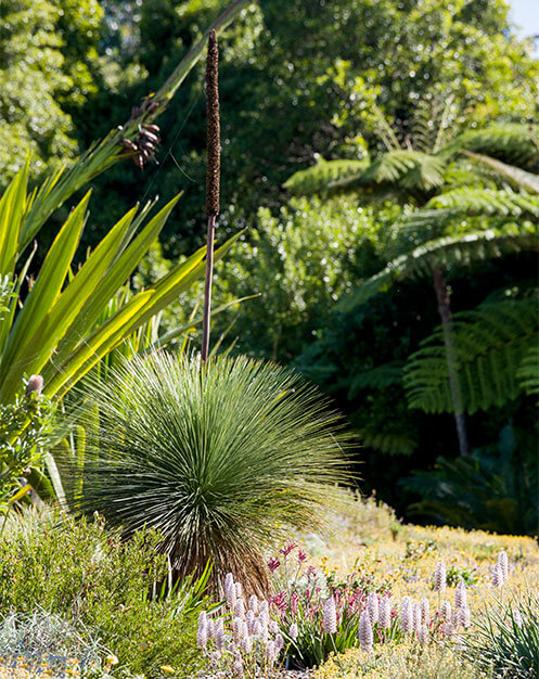 The rainforest and flower beds meet in the Connections Garden