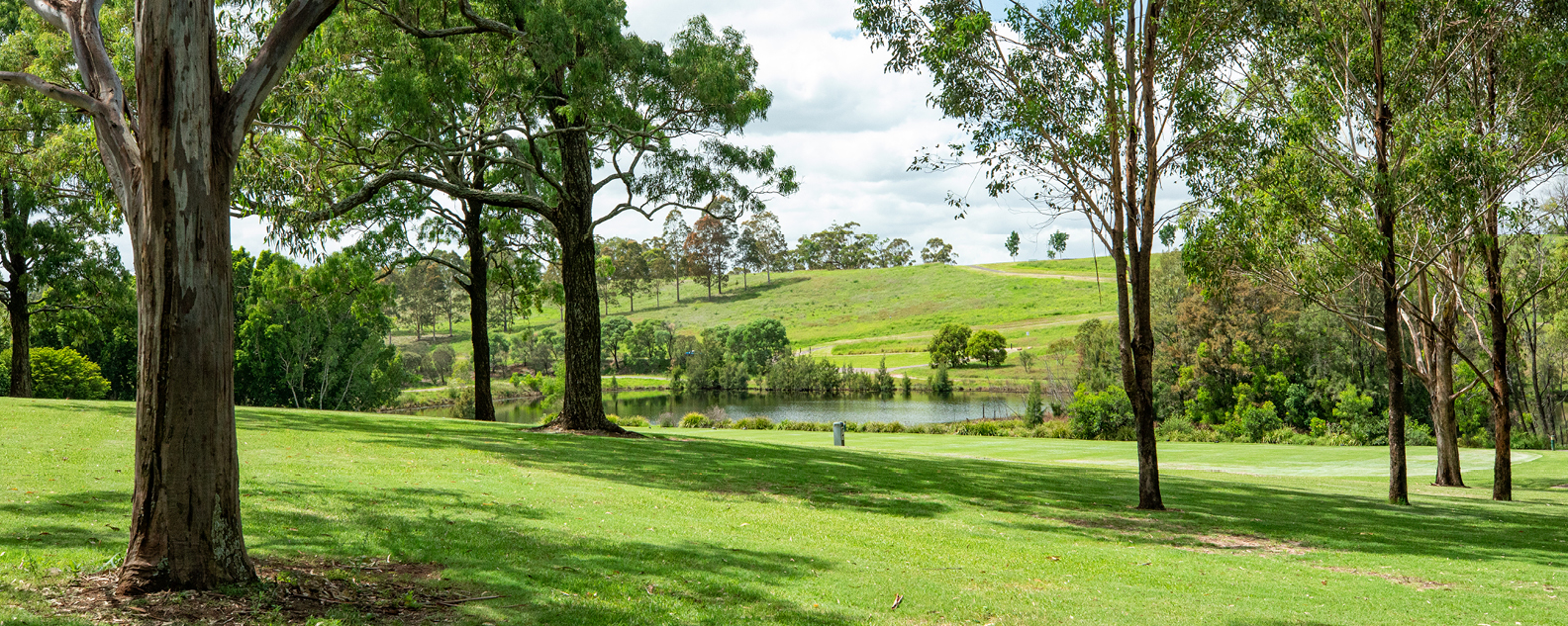 Lake with rolling green lawns and eucalyptus leaves