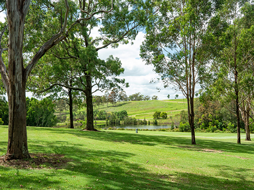 Rolling green lawns, eucalypts and a lake at Australian Botanic Garden Mount Annan