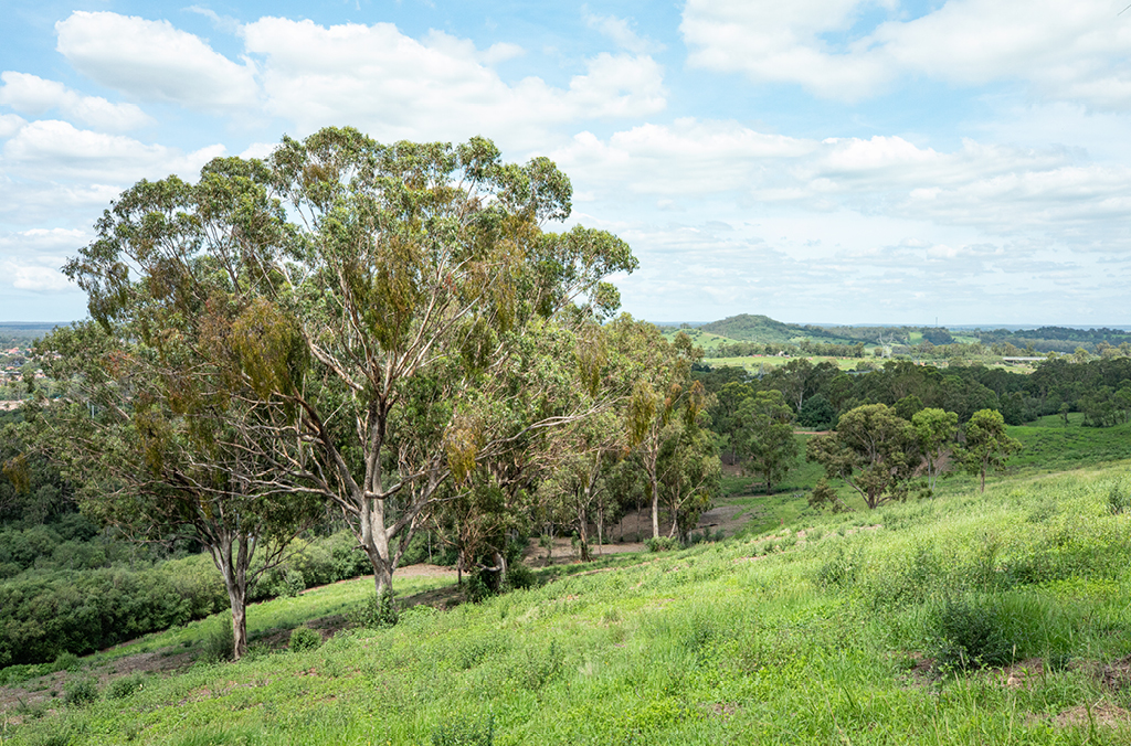 Rolling hills and bushland at Australian Botanic Garden Mount Annan