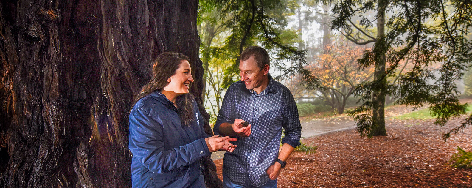 Two people under a giant woodland tree, with golden leaves carpeting the ground