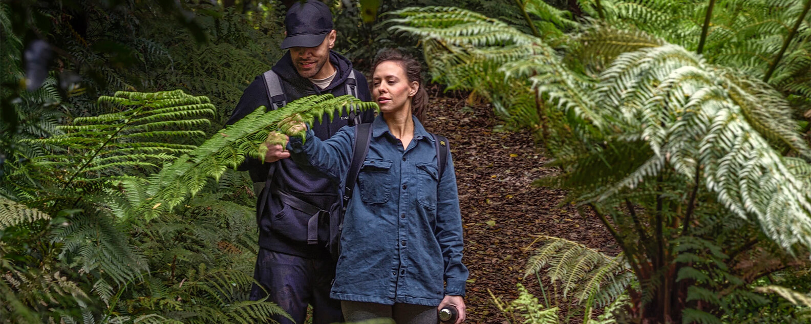 Two hikers walk past giant ferns at the Blue Mountains