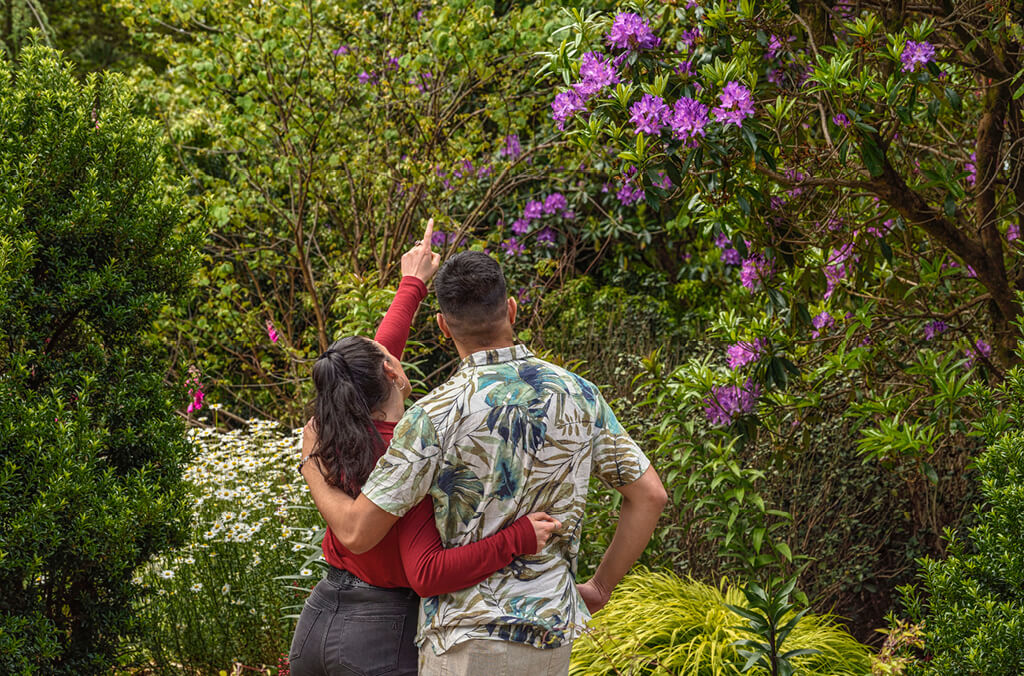Couple looking and pointing at flowering trees in a tranquil garden