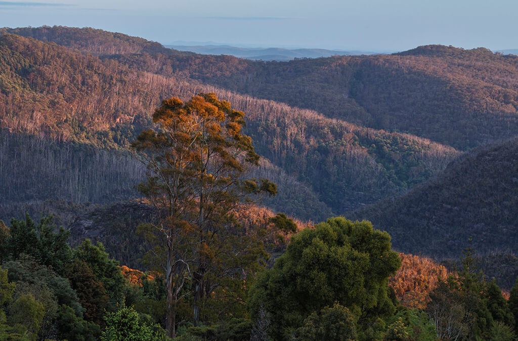 View of the rolling Blue Mountains, a UNESCO World Heritage area