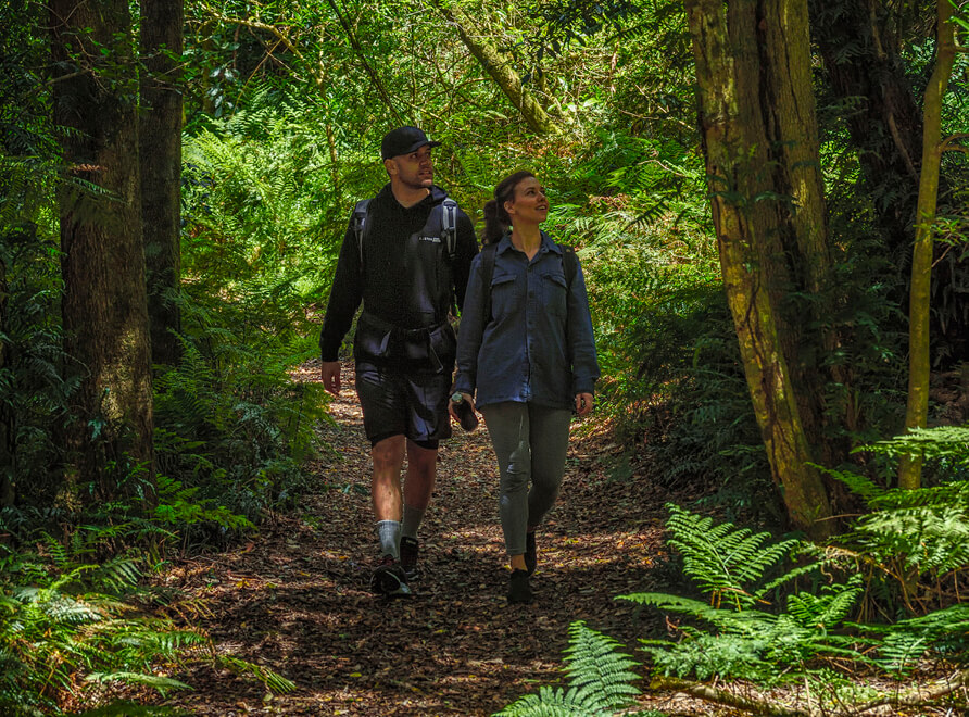 A couple walk through a lush rainforest wilderness area at Blue Mountains Botanic Garden