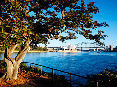 View from Mrs Macquarie's Point of the Sydney opera house and bridge across the harbour