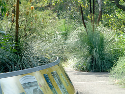 The path through the Cadi Jam Ora Garden