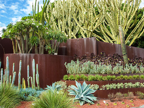 Landscaping in the Succulent Garden