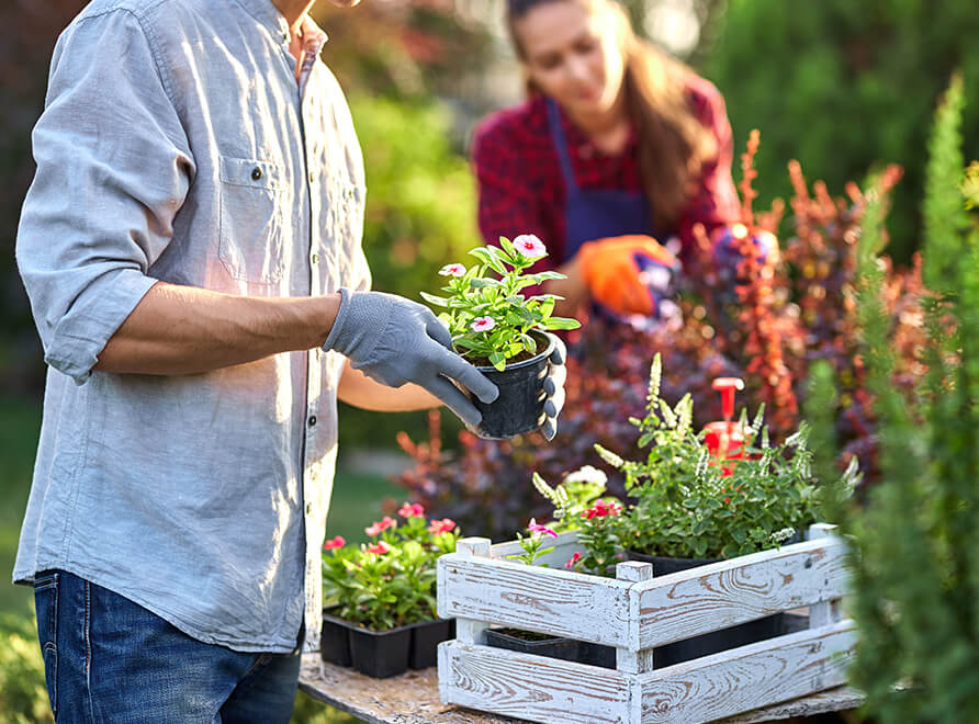 Two gardeners tending to plants in a garden