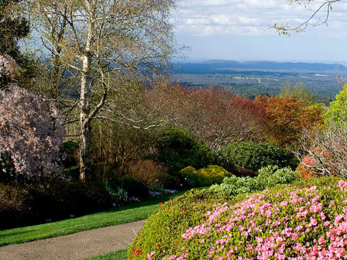 Path though the Garden