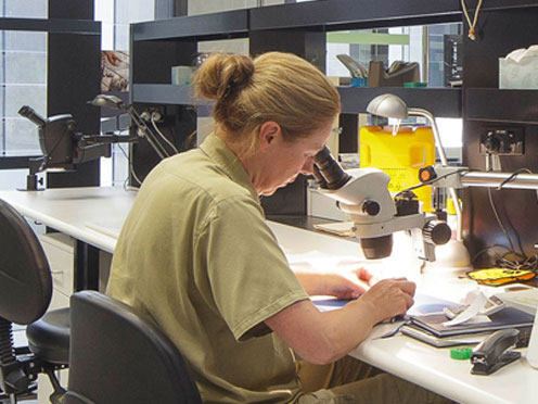 A scientist at PlantBank. Image credit: John Gollings