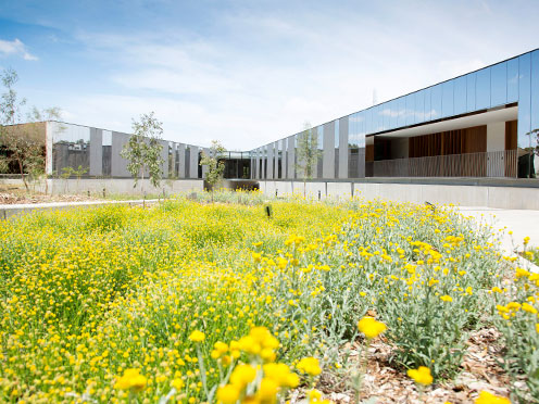 The Australian PlantBank surrounded by yellow flowers