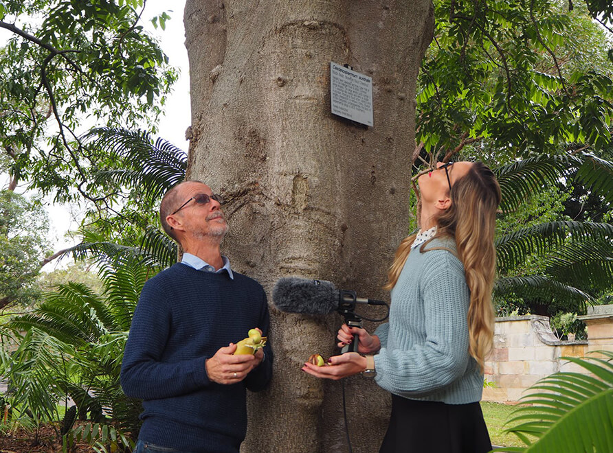 Two people under a black bean tree with a microphone