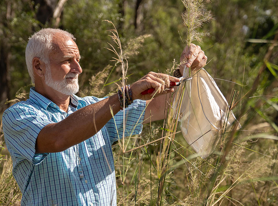 Scientist Nathan Emery examines seeds in a research lab