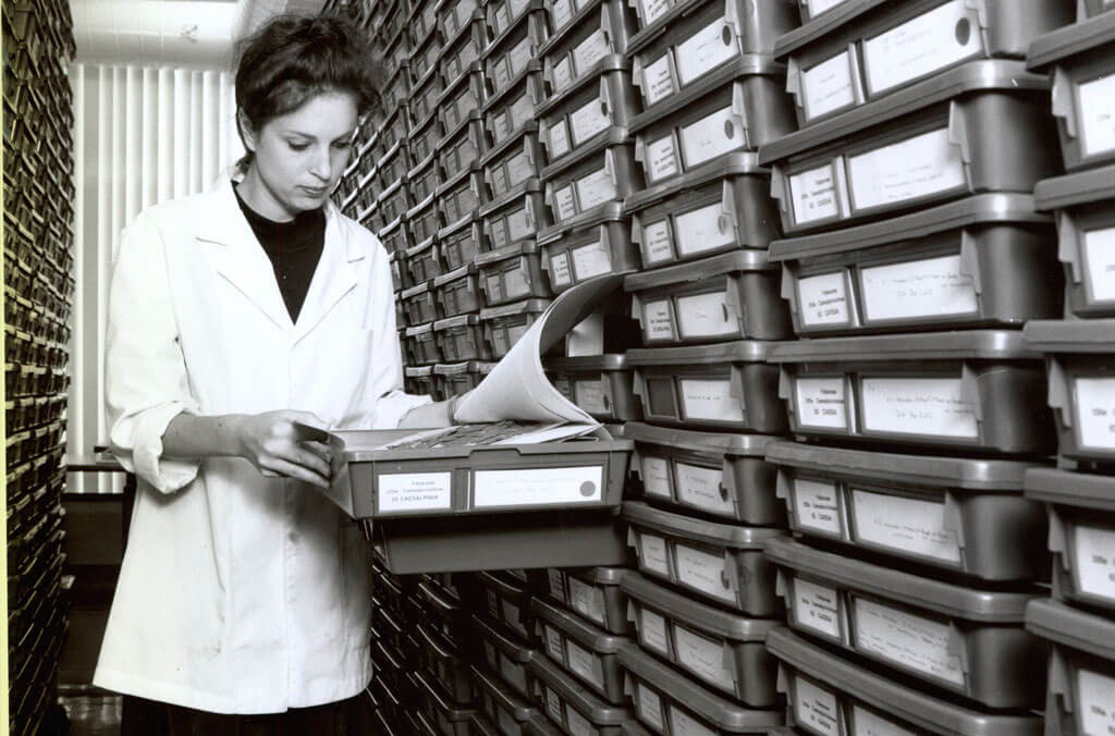 A scientist working in the Herbarium in contemporary times.