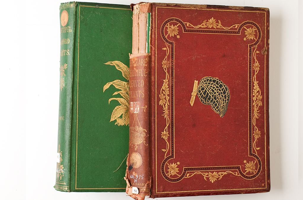Two rare books with green and red hard covers and gold trims