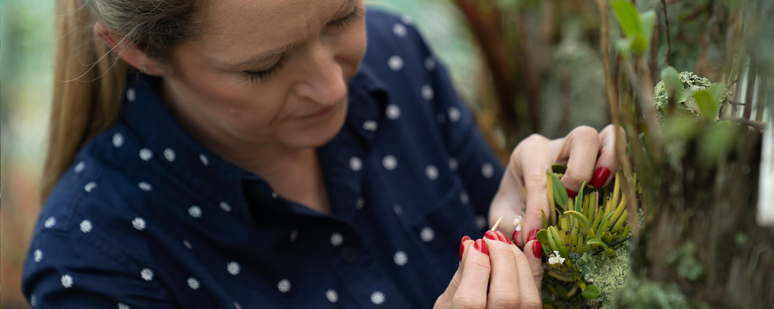 Scientist Zoe Joy Newby examines an orchid flower