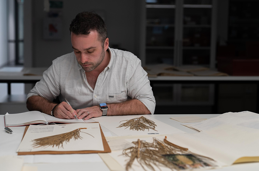 Botanist James Clugston examines dried and pressed plant specimens