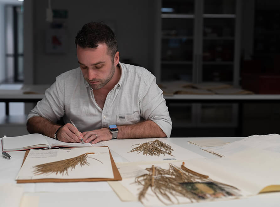 Scientist James Clugston with dried and pressed plant specimens from the herbarium