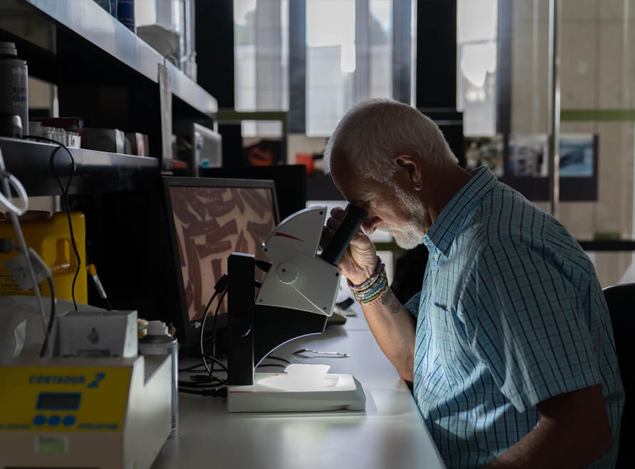 Graeme Errington at the PlantBank looks at plant material through a microscope