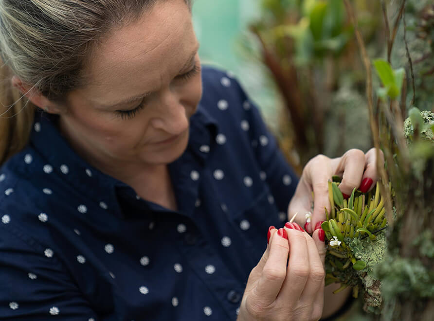 Dr Zoe Joy Newby examines an orchid