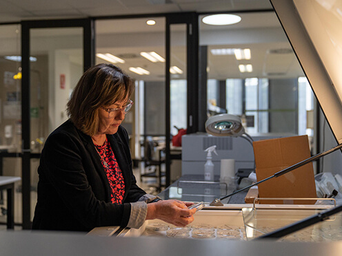 Scientist Cathy Offord examines petri dishes in lab