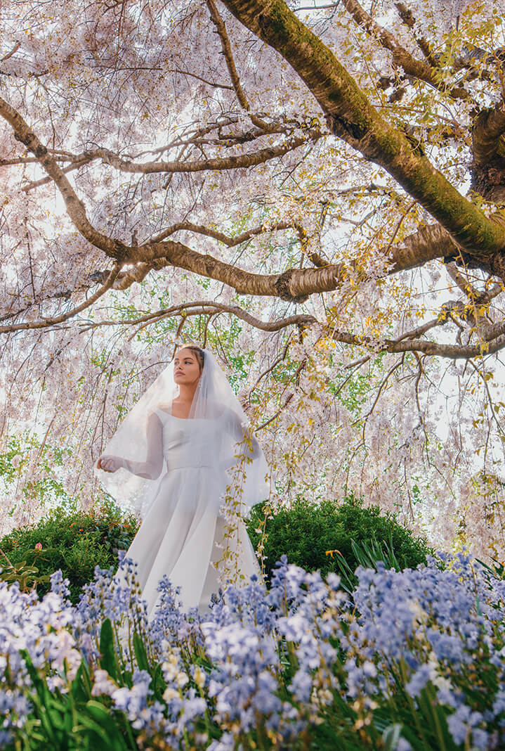 Bride under cherry blossom tree