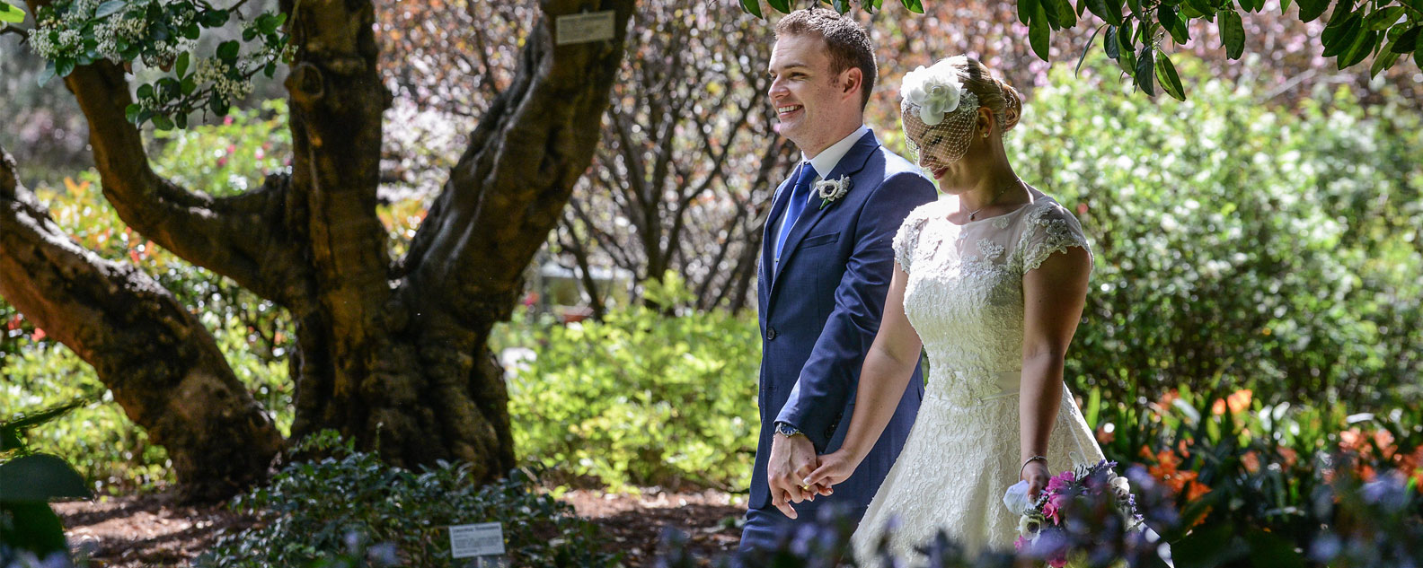 A bride and groom walking in the rose garden at the Royal Botnaic Garden Sydney, there is a forked tree trunk to the left and shrubbery in the background