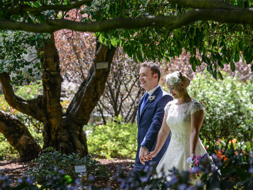 A bride and groom walking through the rose garden with a tree's trunk to the left and shrubbery in the background.