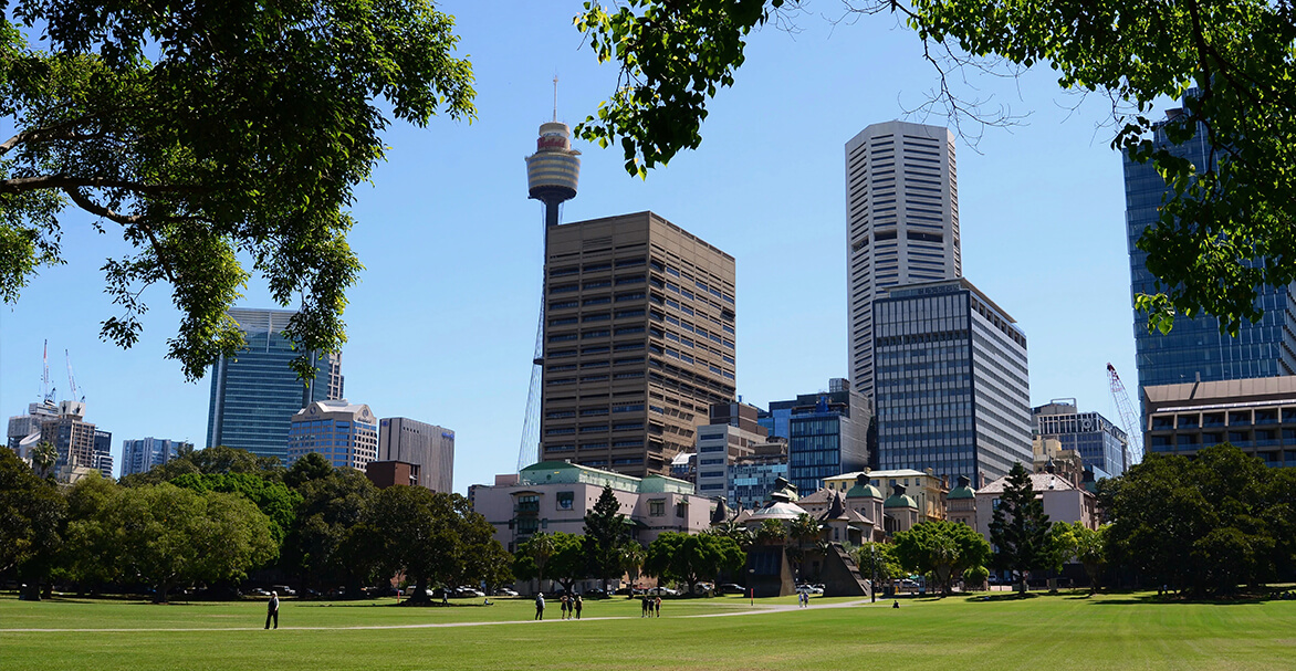 A grassy field with the Sydney CBD skyline behind it