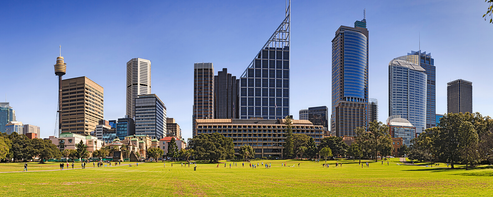 Sunny field with Sydney CBD in background