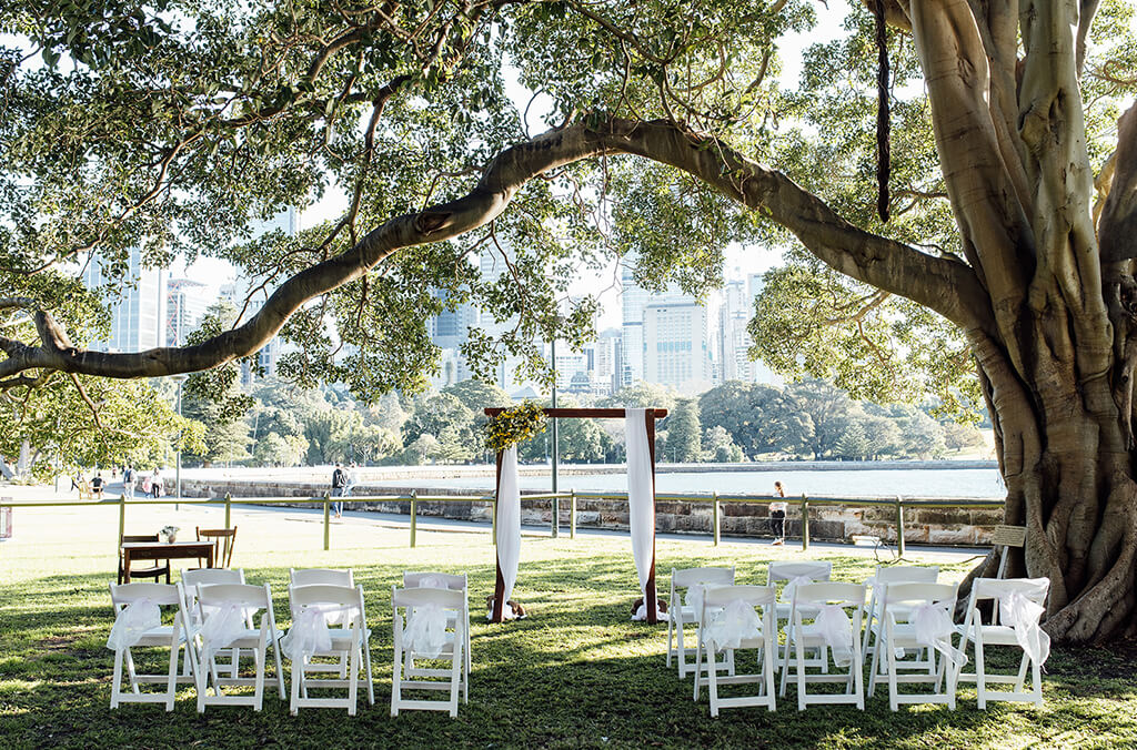 Wedding arch and chairs set up under fig tree overlooking Sydney Harbour