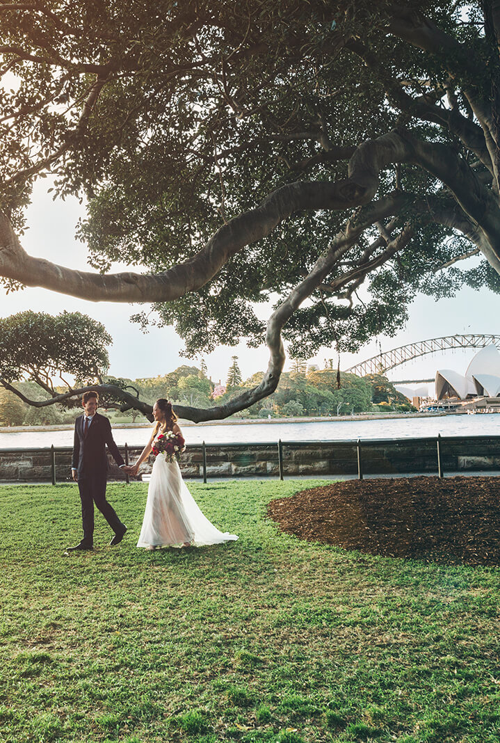 A bride and groom walk across lush lawn under a fig tree with Sydney Harbour views