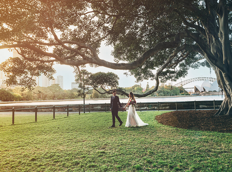Wedding couple walk under fig tree with Sydney Harbour in background